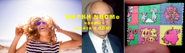 индика Медвежьегорск