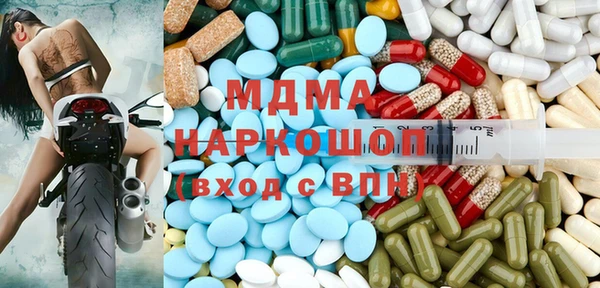 прущие грибы Абинск