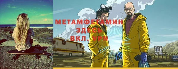 индика Медвежьегорск
