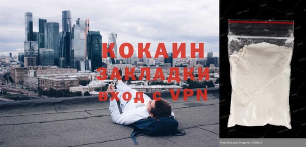 прущие грибы Абинск