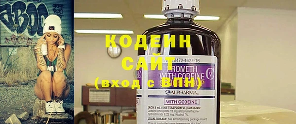 прущие грибы Абинск