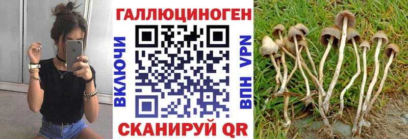 Псилоцибиновые грибы MAGIC MUSHROOMS Холм