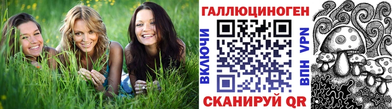 даркнет Telegram  Холм  Псилоцибиновые грибы Magic Shrooms  где купить наркотик 